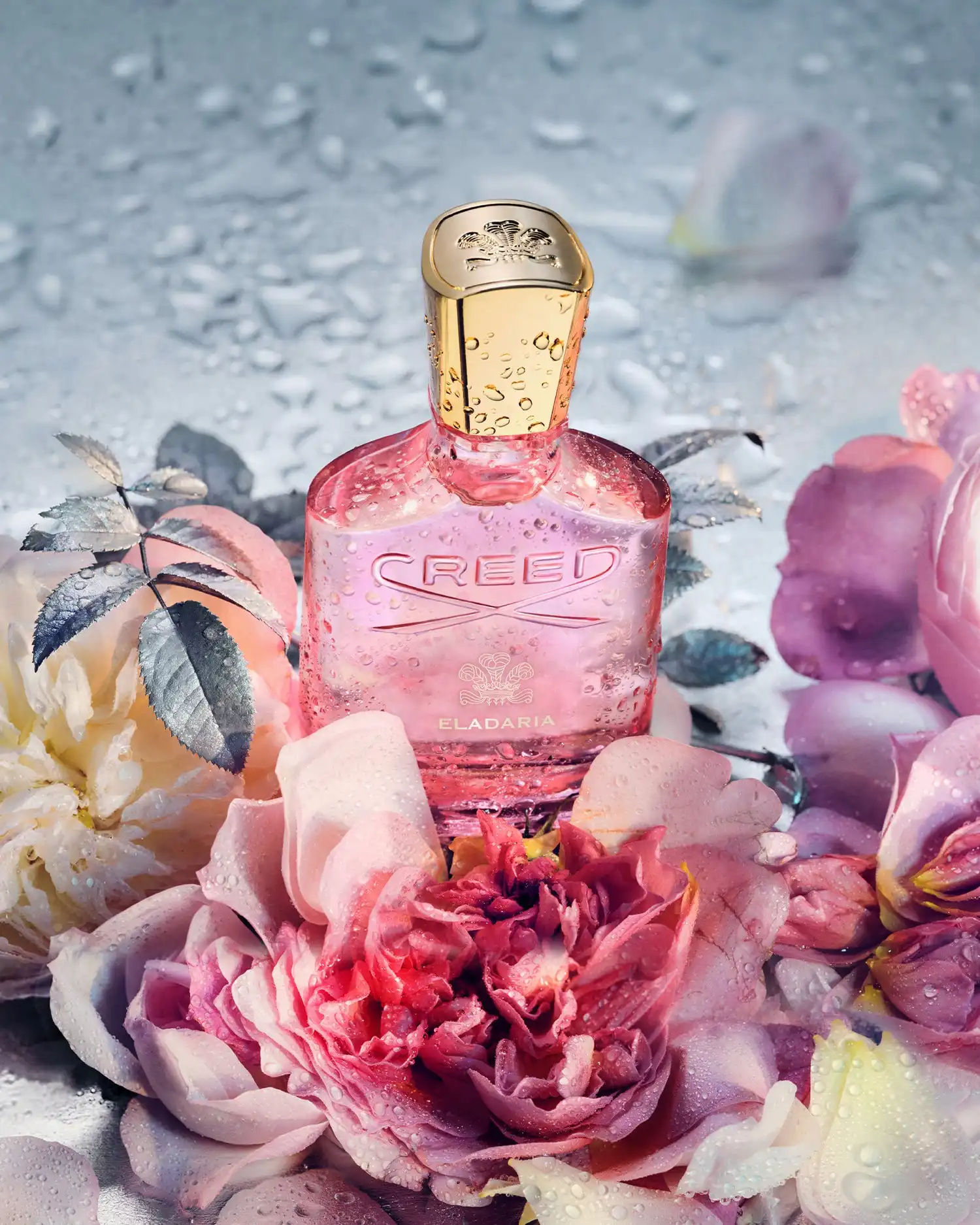 Nước Hoa Creed Eladaria (2028) EDP Nữ Chính Hãng 75ml Nước Hoa Creed Eladaria (2025) EDP Nữ Chính Hãng 75ml