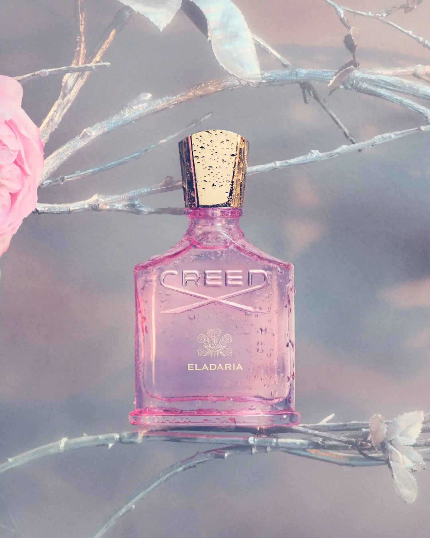 Nước Hoa Creed Eladaria (2029) EDP Nữ Chính Hãng 75ml Nước Hoa Creed Eladaria (2025) EDP Nữ Chính Hãng 75ml