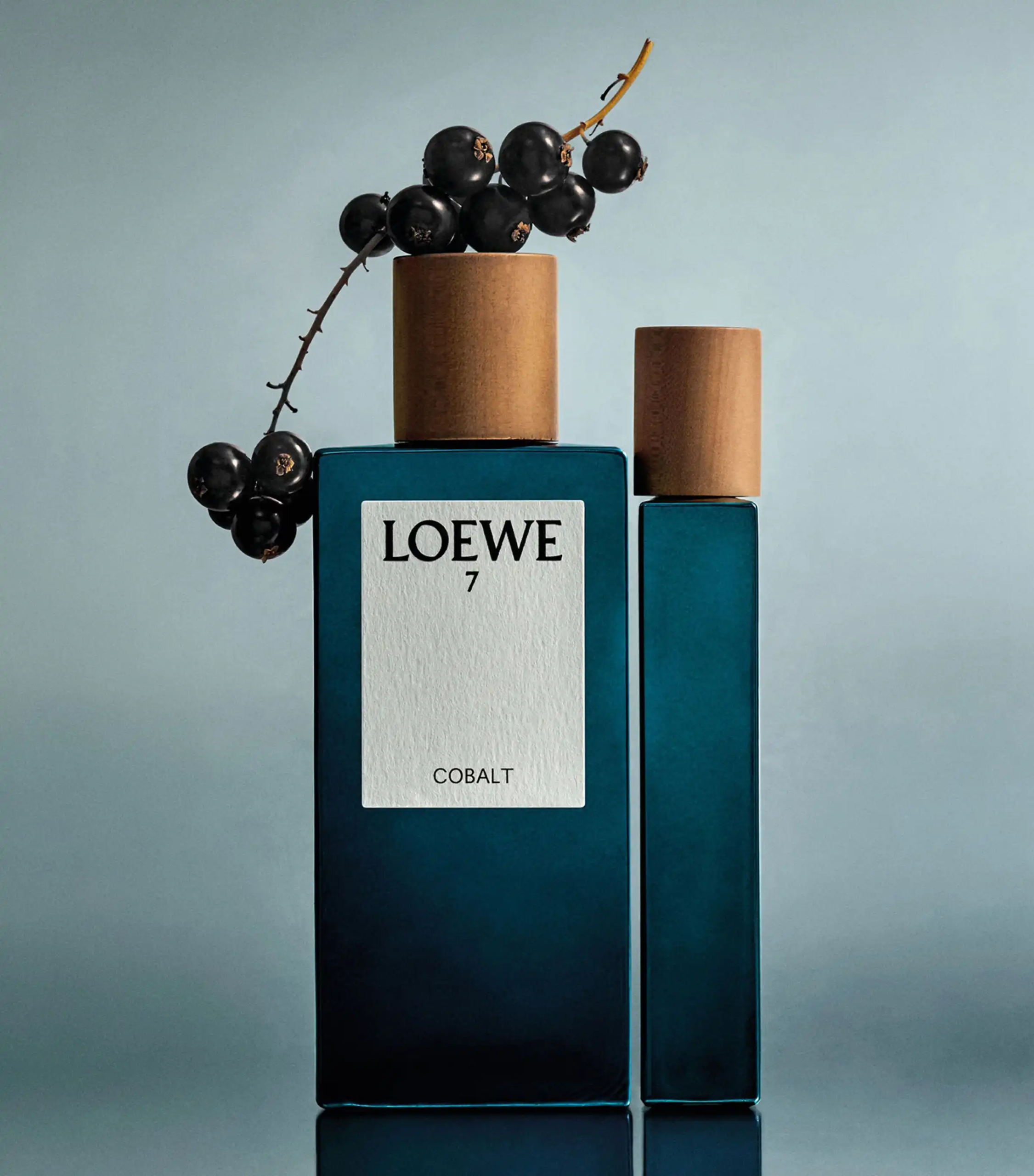 Nước Hoa Loewe 7 Cobalt EDP 100ml Nam Chính Hãng (6) Nước Hoa Loewe 7 Cobalt EDP 100ml Nam Chính Hãng (3)